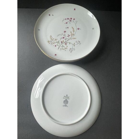 Eschenbach Bavaria Germany Clarice Baronet China Vtg. Luncheon/Salad Plate (4)